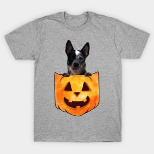 Blue Heeler Dog In Pumpkin Pocket Halloween T-Shirt